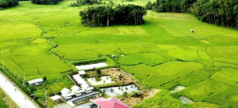 巴端薄荷岛爵士农场旅馆(Jazz Ferme Inn Batuan Bohol)图片