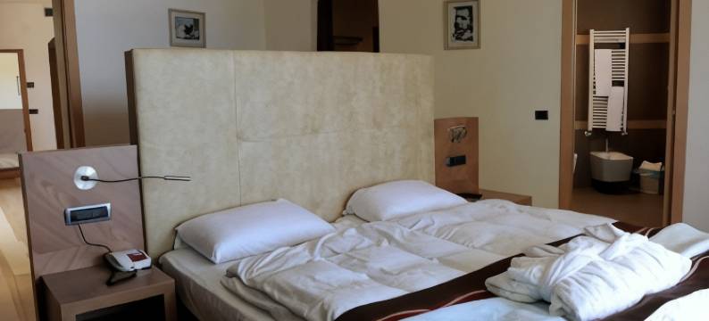 拜亚维尔德酒店(Hotel Baia Verde)图片