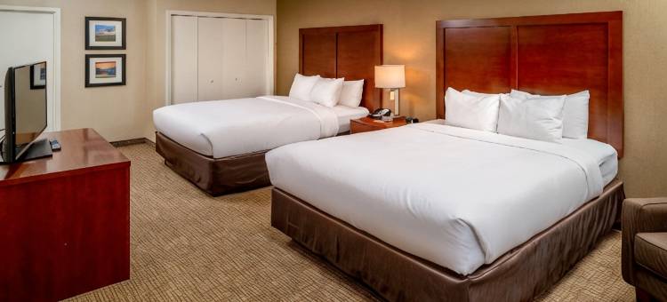格伦迪舒适酒店及套房(Comfort Inn & Suites)图片