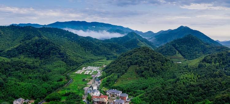 在村上·莫干山温泉度假民宿(萤火虫基地店)图片
