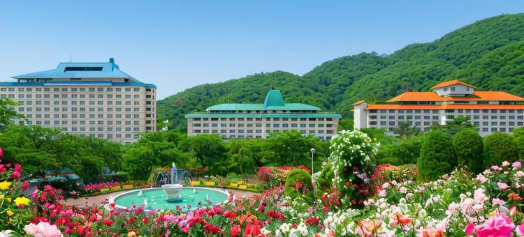 花卷酒店(Hotel Hanamaki)图片