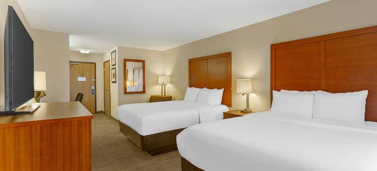 索科罗舒适套房酒店(Comfort Inn & Suites)图片