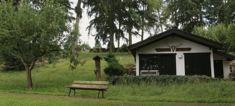 豪斯阿姆沃尔德酒店(Haus am Wald)图片