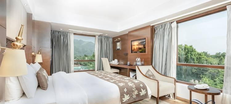 金色郁金香斯里纳格(Golden Tulip Srinagar)图片