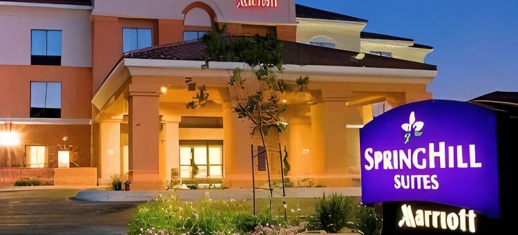 里奇克莱斯特SpringHill Suites酒店(SpringHill Suites Ridgecrest)图片