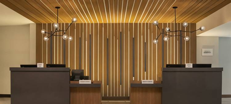 亚特兰大周界中心万豪酒店(Atlanta Marriott Perimeter Center)图片