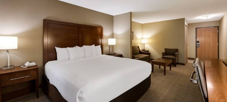 东维奇塔舒适酒店(Comfort Inn East)图片