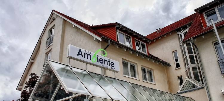 阿姆比杨特沃尔多夫酒店(Hotel Ambiente Walldorf)图片