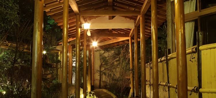 元汤旅馆(Motoyu Ryokan  Atsugi Iiyama Onsen)图片
