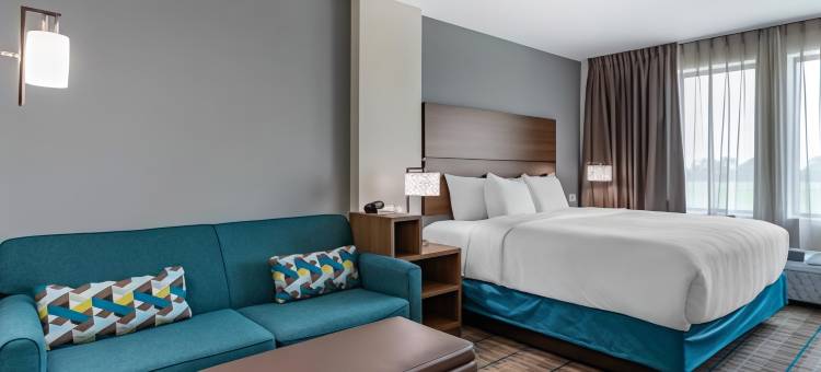 沃基-西得梅因美茵斯坦套房酒店(MainStay Suites Waukee-West des Moines)图片