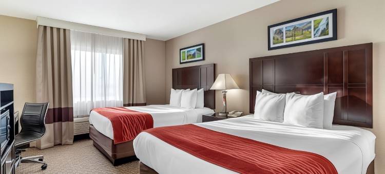 特劳特代尔-波特兰东舒适酒店(Comfort Inn Troutdale-Portland East)图片