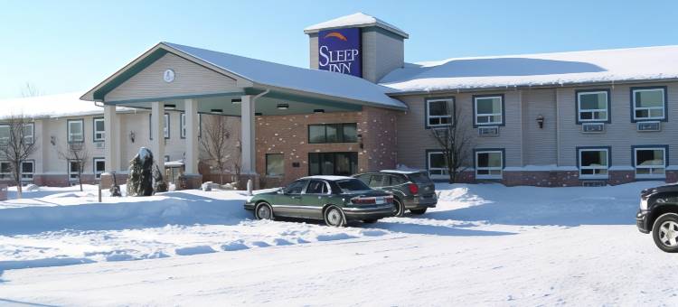 布雷斯桥斯利普酒店(Comfort Inn)图片