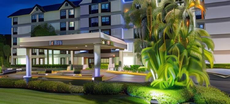 劳德代尔北-伊格泽克空港智选假日酒店(Holiday Inn Express & Suites FT Lauderdale N - Exec Airport)图片