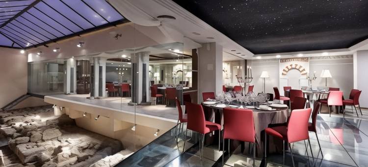 欧洲之星征服者酒店(Eurostars Conquistador)图片