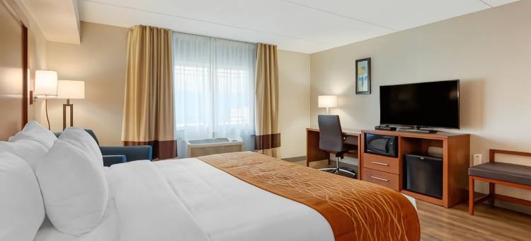 舒适套房酒店(Comfort Inn & Suites)图片