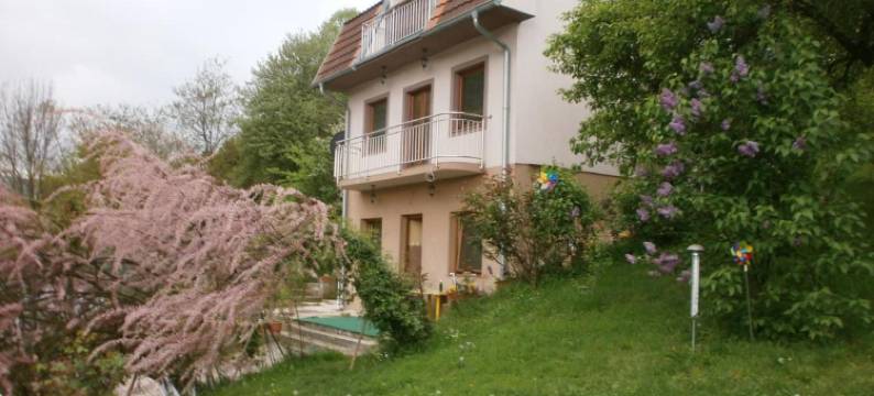 艾玛宾馆(Guesthouse Ema)图片