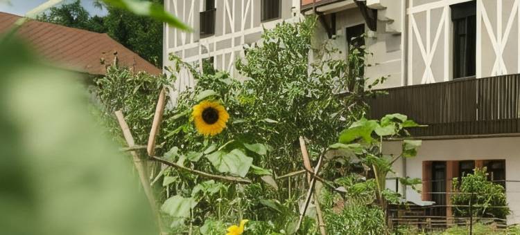 艾里贝特宅邸酒店(Maison Aribert)图片