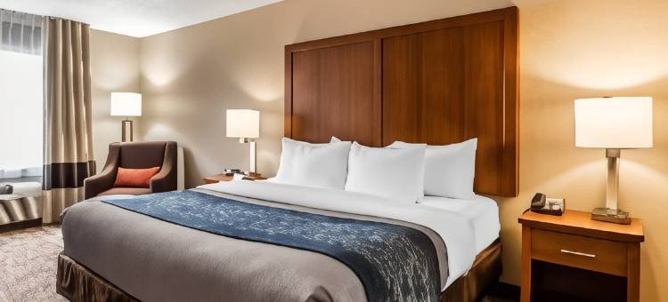 美国之路孟菲斯舒适套房机场酒店(Comfort Inn & Suites Airport-American Way)图片