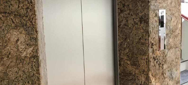 Mai Vàng Hotel图片