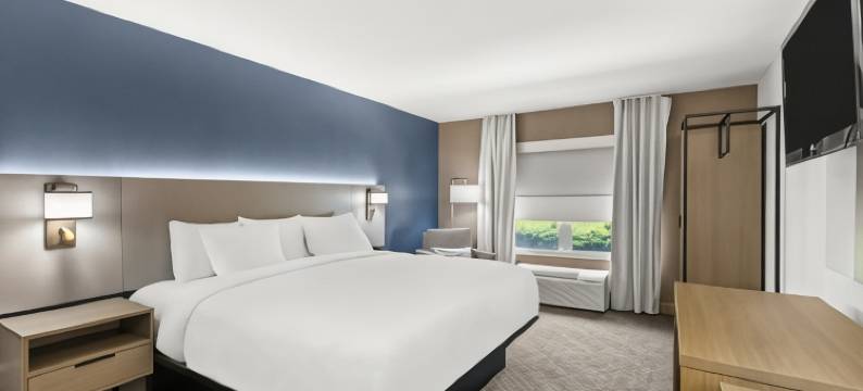 罗马南部舒适酒店及套房(Comfort Inn & Suites Rome South)图片