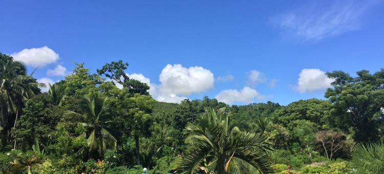 高台阶别墅(High Steps Pension)图片