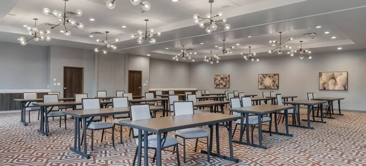 达拉斯理查森坎布里亚酒店(Cambria Hotel Richardson - Dallas)图片