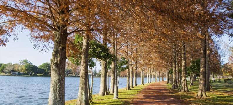 东横INN三乡中央站前(Toyoko Inn Misato-Chuo Ekimae)图片
