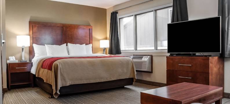 舒适酒店(Comfort Inn)图片