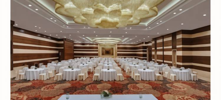 萨亚吉科尔哈普尔(Sayaji Kolhapur)图片