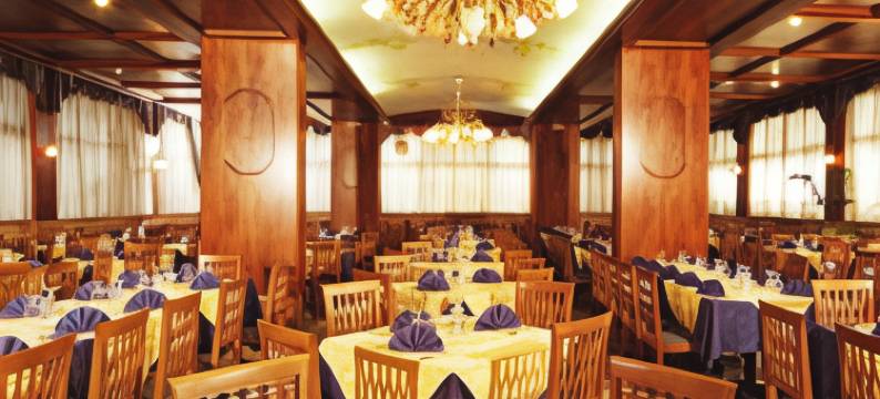 佳迪萨诺中央旅游酒店(Hotel Centro Turistico Gardesano)图片