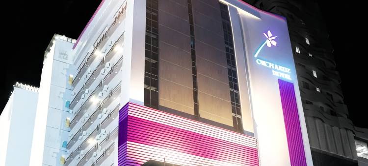 沃查兹酒店(Orchardz Hotel Gajahmada Pontianak)图片