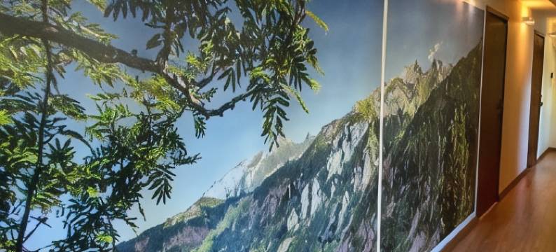 亚斯琴比亚图尔尼亚酒店(Pensjonat Jastrzębia Turnia)图片