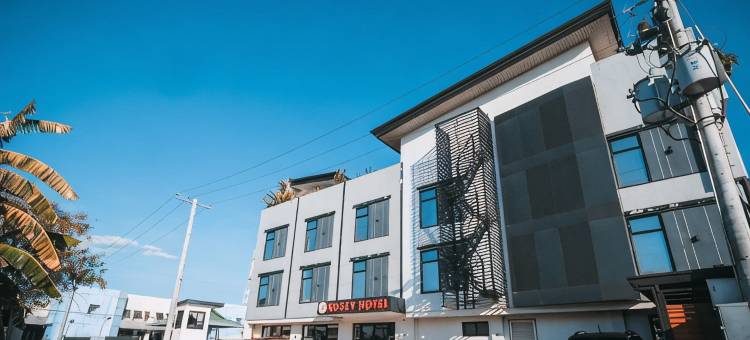罗西酒店(Rosey Hotel)图片