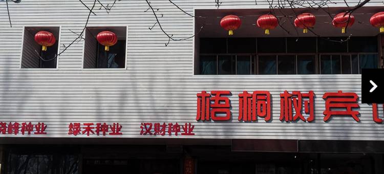 沈阳梧桐树主题宾馆图片