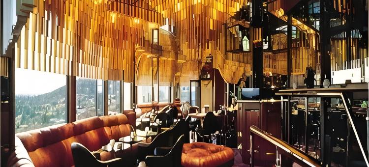 斯托耶尔度假村酒店(Storefjell Resort Hotel)图片