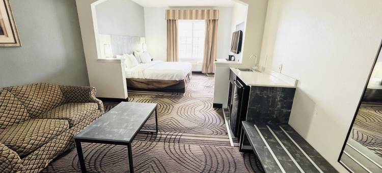 克里波恩菲布丽套房酒店(FairBridge Inn & Suites Cleburne)图片