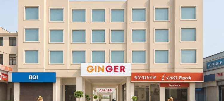 格德拉金杰酒店(Ginger Katra)图片