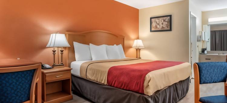 伊克诺旅馆套房酒店(Econo Lodge Inn & Suites)图片