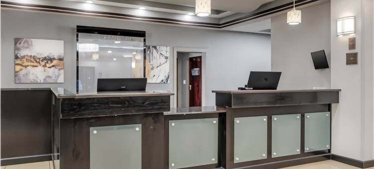 JFK贝斯特韦斯特优质套房酒店(Best Western Plus JFK Inn  Suites)图片
