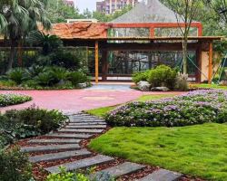 成都動物園猴山新館開放！靈長類動物搬新家