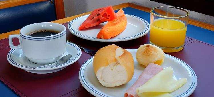 菲尼克斯酒店里梅拉(Fênix Hotel Limeira)图片