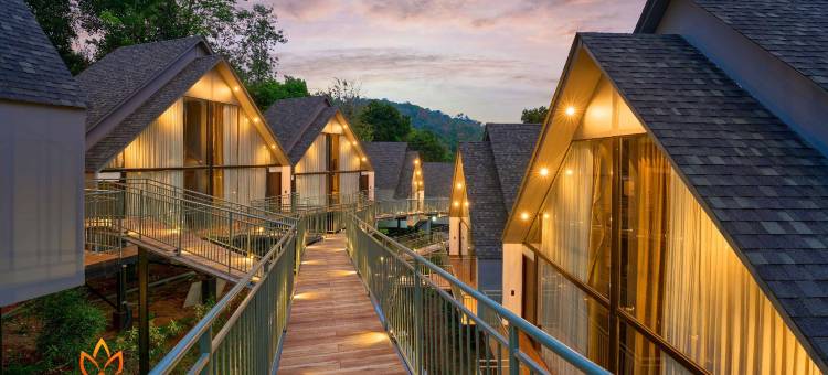 Serene Horizon图片