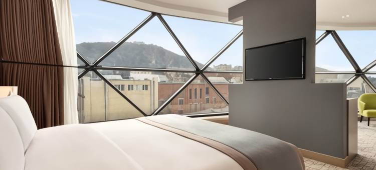 第比利斯温德姆至尊酒店(Wyndham Grand Tbilisi)图片