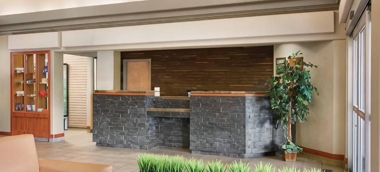 卡尔加里机场温德姆戴斯酒店(Days Inn by Wyndham Calgary Airport)图片