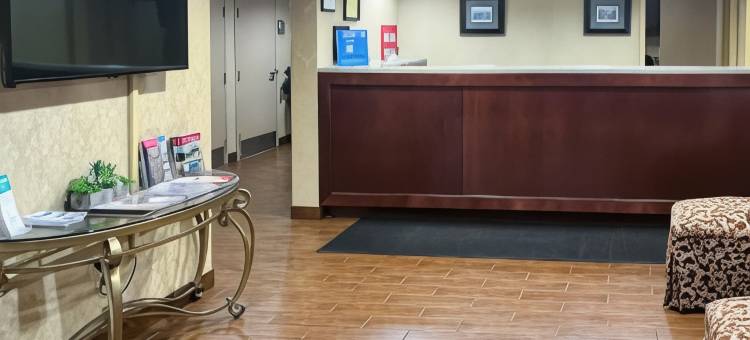 Motel 6 斯塔福德, 弗吉尼亚州 - 夸蒂科(Motel 6 Stafford, VA - Quantico)图片