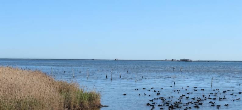 Hotel HCC Montsià图片