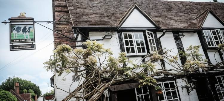 公牛旅馆(Bull Inn)图片