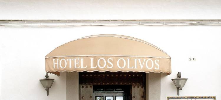 洛斯奥利弗斯酒店(Hotel Los Olivos)图片