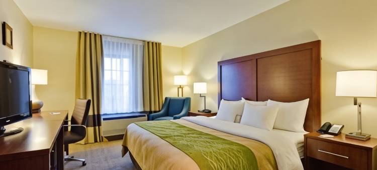 卡德威尔舒适酒店及套房(Comfort Inn & Suites)图片