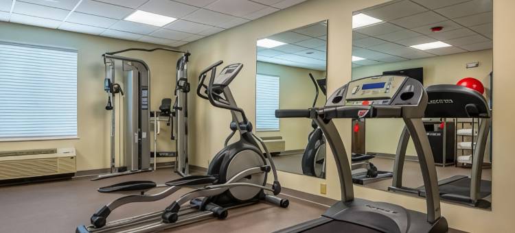 盖斯马-冈萨雷斯美茵斯坦套房酒店(MainStay Suites Geismar - Gonzales)图片